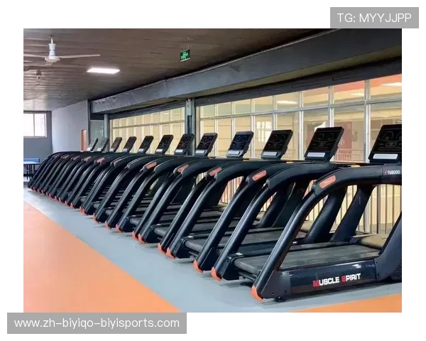 迈宝赫健身器材价格分析：如何选择性价比高的器材？