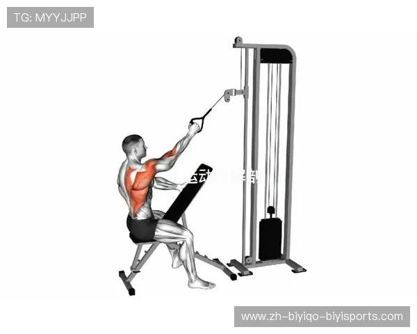 飞鸟器械助力背肌训练，塑造完美背部线条